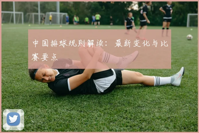 中国排球规则解读：最新变化与比赛要点
