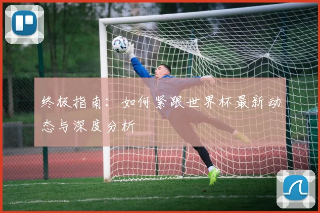 终极指南：如何紧跟世界杯最新动态与深度分析