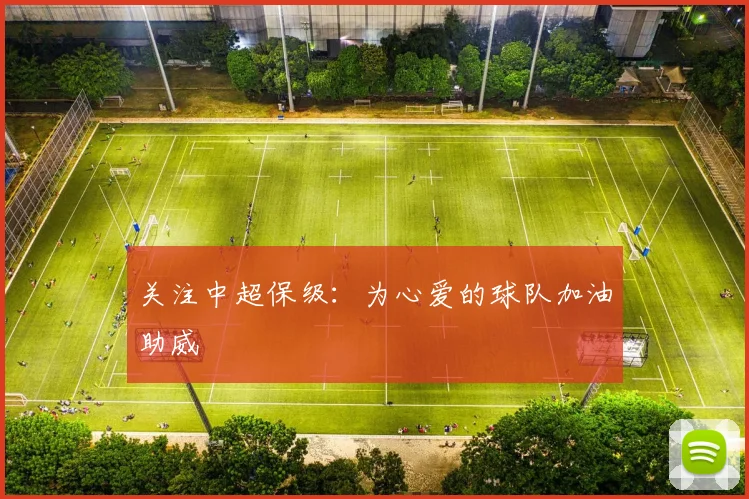 关注中超保级：为心爱的球队加油助威