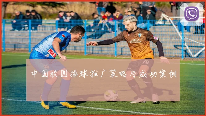 中国校园排球推广策略与成功案例