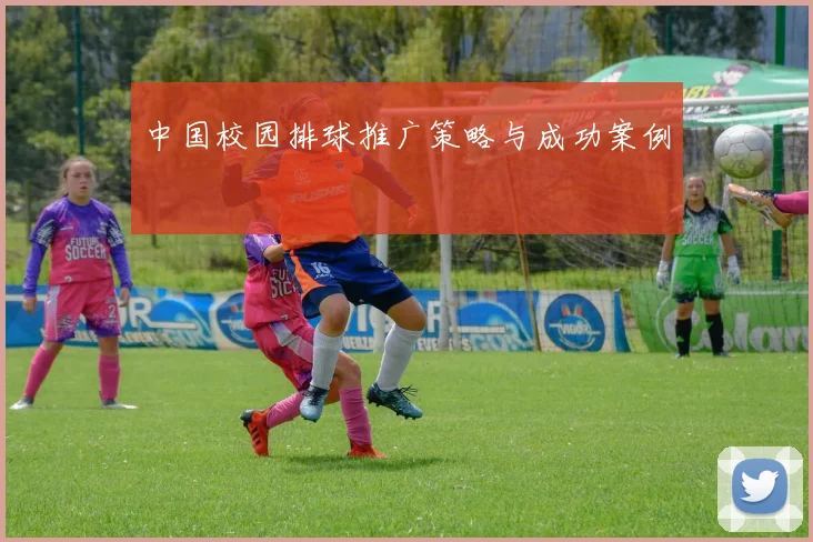 中国校园排球推广策略与成功案例