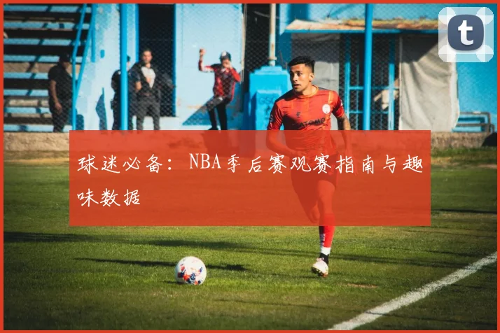 球迷必备：NBA季后赛观赛指南与趣味数据